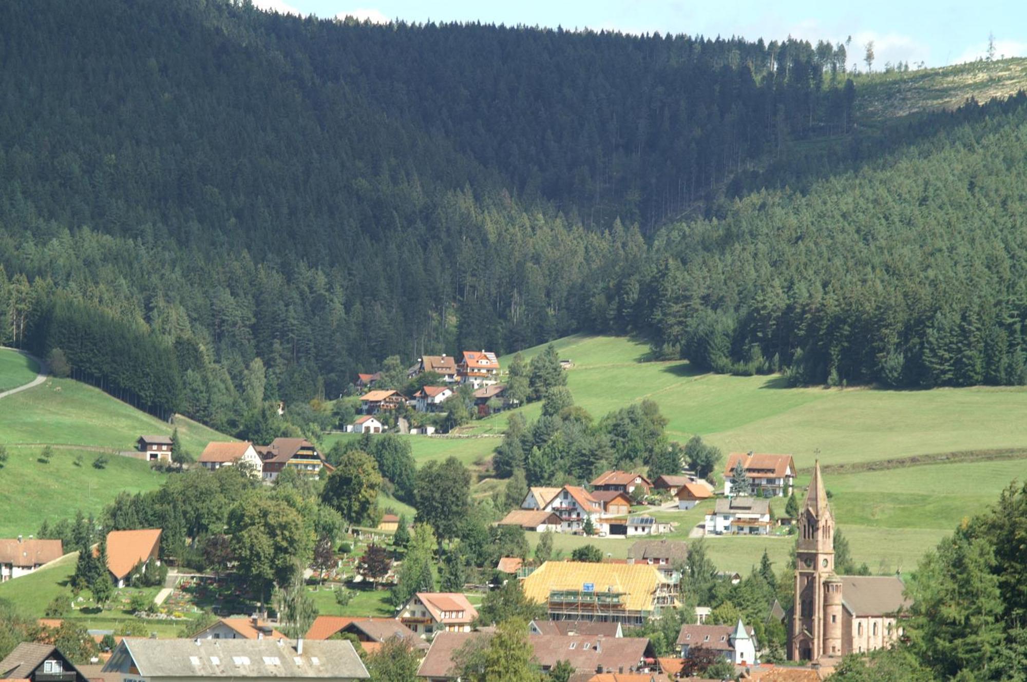 Hotel Lamm Baiersbronn Mitteltal Экстерьер фото